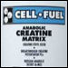 Ergopharm Cell Fuel