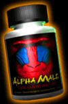 Alpha Male